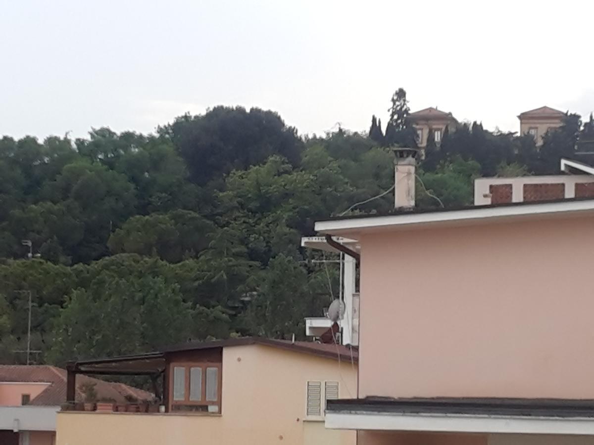 Hotel Antares Garni Giulianova Exterior photo